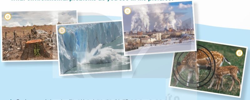Environmental Problems