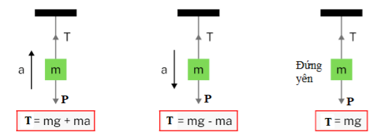 Dạng 3 Bài 2 – Hình 3 trường hợp T=mg+ma, T=mg-ma, T=mg