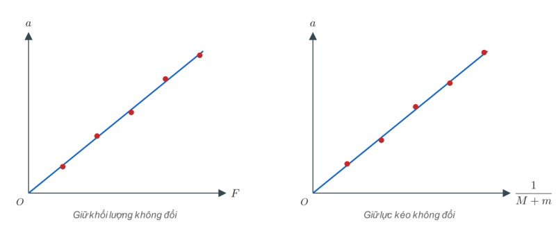 Hai đồ thị $a$ theo $F$ và $a$ theo $\dfrac{1}{M+m}$