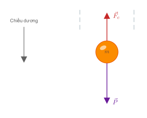 Hình vật rơi thẳng đứng trong không khí với hai vectơ: trọng lực $\vec{P}$ hướng xuống và lực cản $\vec{F_c}$ hướng lên