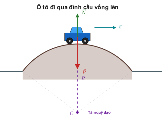 ô tô ở đỉnh cầu vồng lên, có vẽ $\vec{P}$ hướng xuống, $\vec{N}$ hướng lên