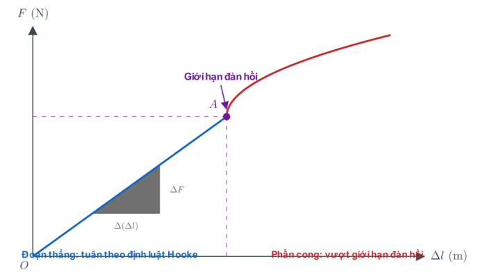 Đồ thị lực đàn hồi $F$ theo độ biến dạng $\Delta l$