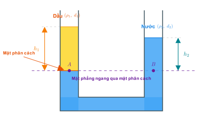bình thông nhau chữ U chứa dầu ở nhánh trái và nước ở nhánh phải
