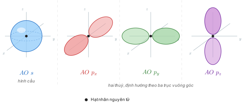 Hình dạng AO s (hình cầu) và AO p
