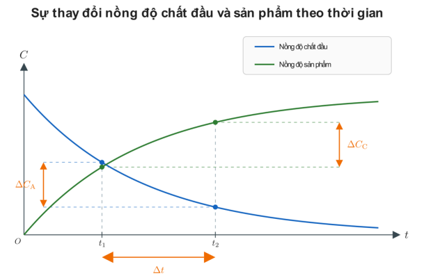 Đồ thị biểu diễn sự thay đổi nồng độ chất đầu