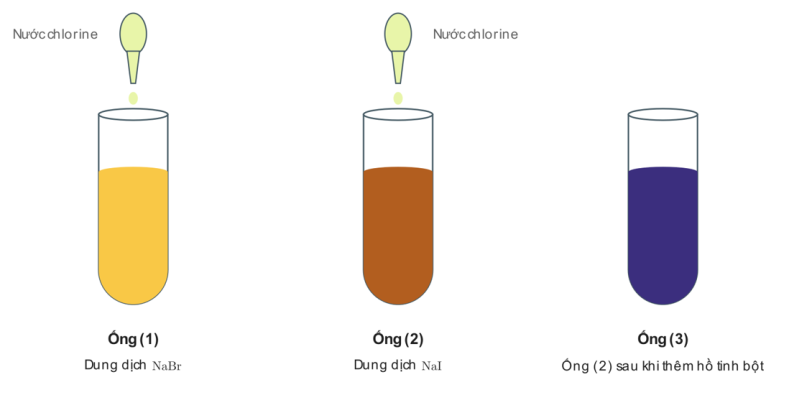 thí nghiệm nhỏ nước chlorine vào dung dịch $\text{NaBr}$ và vào dung dịch $\text{NaI}$