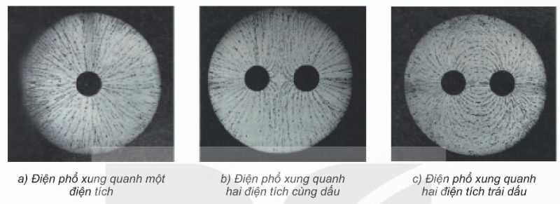 Ảnh chụp điện phổ (Ảnh Sách KNTT)