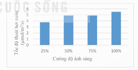 Ảnh hưởng của cường độ ánh sáng đến tốc độ thoát hơi nước của lá cây xô thơm (Ảnh sách KNTT)