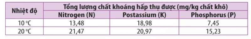 Ảnh hưởng của nhiệt độ ở vùng rễ đến khả năng hấp thụ chất khoáng của cây dưa chuột (Ảnh sách KNTT)