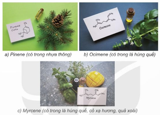 Ba hợp chất Pinene (trong nhựa thông), Ocimene (trong lá húng quế), Myrcene (trong lá húng quế, cỏ xạ hương, quả xoài) có cùng công thức phân tử