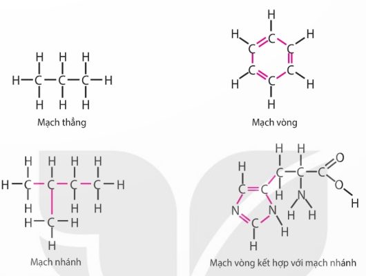 Các dạng liên kết của nguyên tử carbon (mạch thẳng, nhánh, vòng) (Ảnh Sách KNTT)