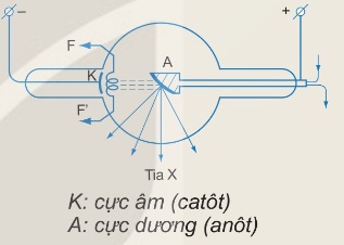 Cấu tạo ống phóng tia X