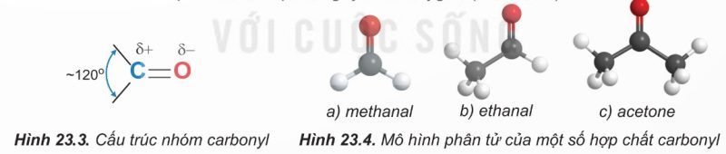 Cấu trúc nhóm carbonyl với góc liên kết ~120° và Hình 23.4 - Mô hình phân tử của methanal, ethanal, acetone