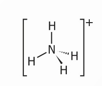 Dạng hình học của ion ammonium (tứ diện đều) (Ảnh Sách KNTT)