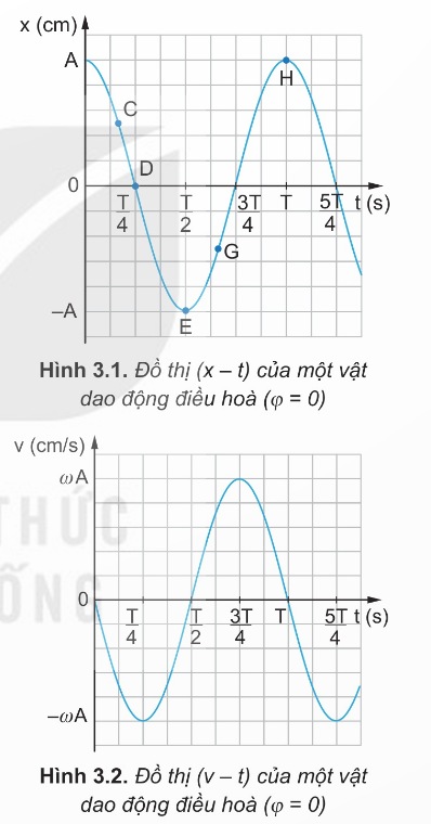 Đồ thị của dao động điều hòa
