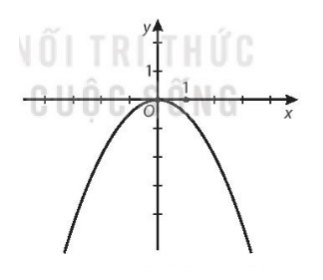 đồ thị y = -½x²