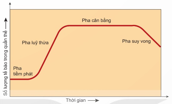 Đường cong sinh trưởng của quần thể vi khuẩn trong nuôi cấy không liên tục