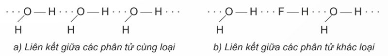 Hai kiểu tạo thành liên kết hydrogen (Ảnh Sách KNTT)