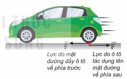 Hình 16.4 – Ô tô và cặp lực tương tác với mặt đường (Ảnh Sách KNTT)