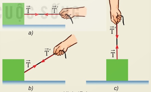 Lực căng trong các tình huống: vật treo bằng dây, kéo co, dây cần cẩu