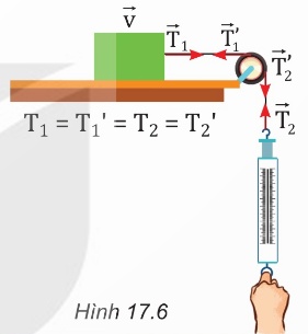 Sợi dây vắt qua ròng rọc nhẹ với 2 vật ở 2 đầu, lực căng bằng nhau ở mọi điểm