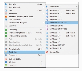 Hình 21.10 – Bảng chọn để thiết lập bộ lọc