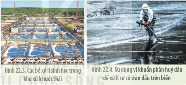 Hình 22.3 – Các bể xử lí sinh học trong khu xử lí nước thải; Hình 22.4 – Vi khuẩn phân huỷ dầu xử lí sự cố tràn dầu trên biển