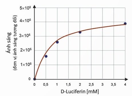 Hoạt tính enzyme luciferase theo nồng độ cơ chất D-Luciferin (Ảnh Sách KNTT)