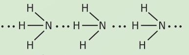Liên kết hydrogen giữa các phân tử ammonia (Ảnh Sách KNTT)