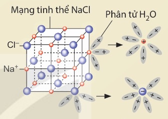 Mô hình biểu diễn sự phân li của NaCl trong nước (Ảnh Sách KNTT)