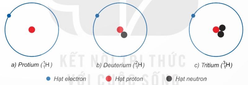 Mô hình cấu tạo nguyên tử các đồng vị của nguyên tố hydrogen. (Ảnh Sách KNTT)