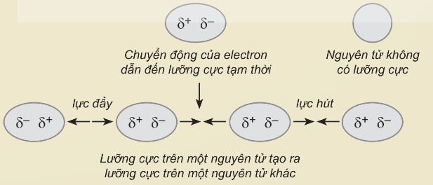 Mô tả sự tạo thành tương tác van der Waals (Ảnh Sách KNTT)