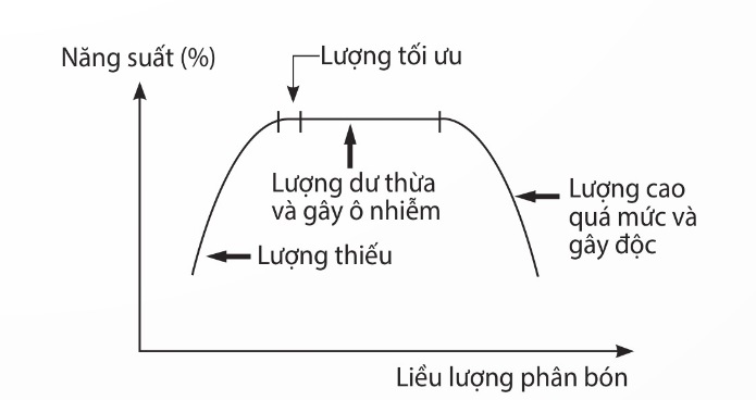 Mối quan hệ giữa phân bón và năng suất cây trồng (Ảnh sách KNTT)