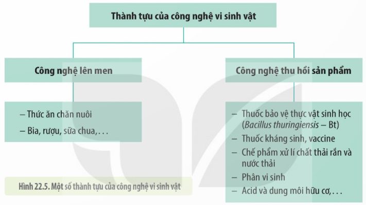 Một số thành tựu của công nghệ vi sinh vật