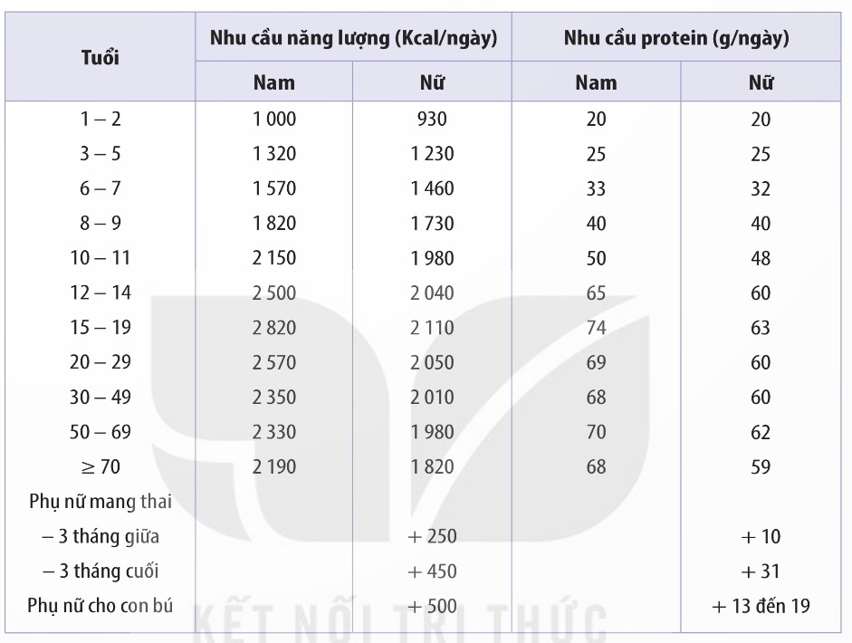 Nhu cầu năng lượng và protein theo lứa tuổi và trạng thái sinh lí (Ảnh Sách KNTT)
