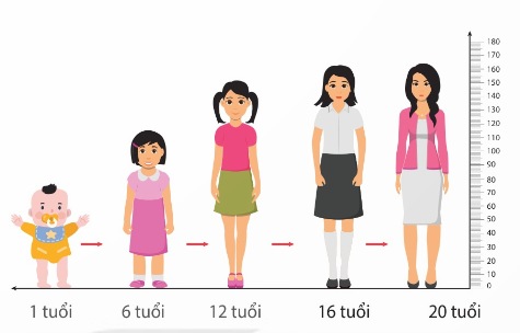 Phát triển không qua biến thái ở người