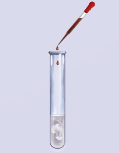 Phenol phản ứng với nước bromine (Ảnh Sách KNTT)