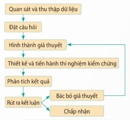 Quy trình nghiên cứu khoa học