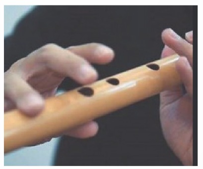 Sáo trúc