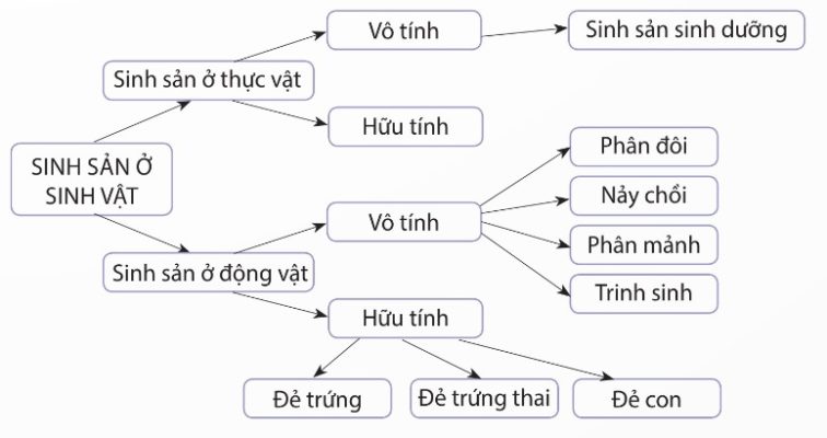 Sơ đồ các hình thức sinh sản ở sinh vật (Ảnh Sách KNTT)