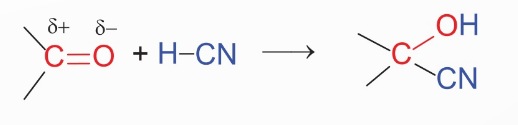 Sơ đồ phản ứng cộng HCN vào nhóm carbonyl