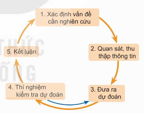 Sơ đồ phương pháp thực nghiệm (Ảnh Sách KNTT)