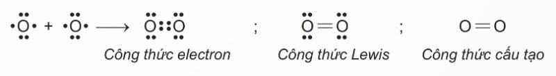 Sơ đồ tạo thành $\text{O}_2$ (Ảnh Sách KNTT)