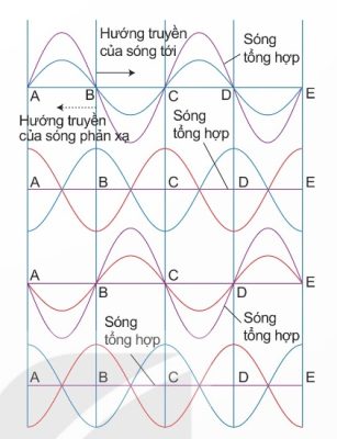 Sóng tới và sóng phản xạ tạo thành sóng dừng (Ảnh Sách KNTT)