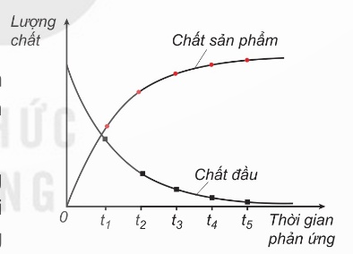 Sự thay đổi lượng chất theo thời gian (Ảnh Sách KNTT)