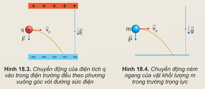 Tác dụng của điện trường đều lên chuyển động của điện tích (Ảnh Sách KNTT)