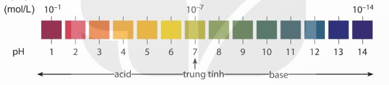 Thang pH từ 1-14 (Ảnh Sách KNTT)