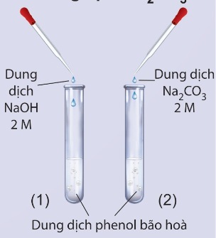 Thí nghiệm phản ứng của phenol với dung dịch NaOH và dung dịch Na₂CO₃ (Ảnh Sách KNTT)