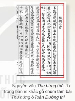 thu hứng gốc