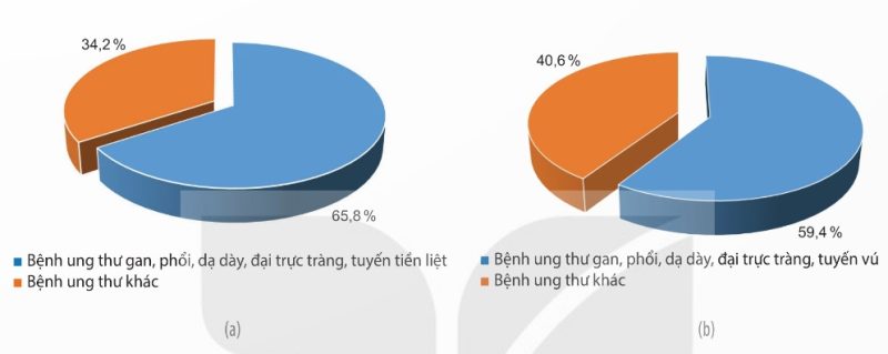 Tỉ lệ mắc ung thư ở nam và nữ năm 2020